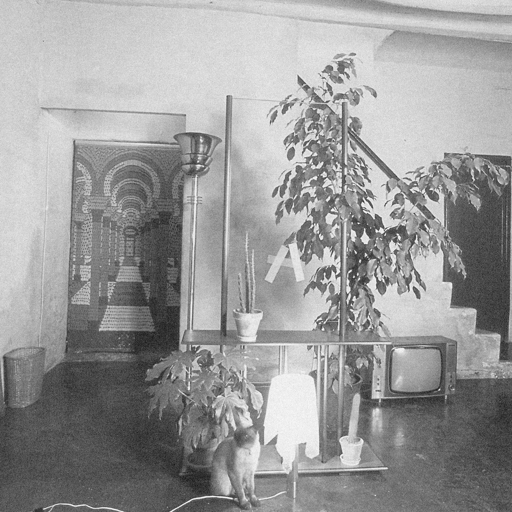 CHARLES´S FURNITURE