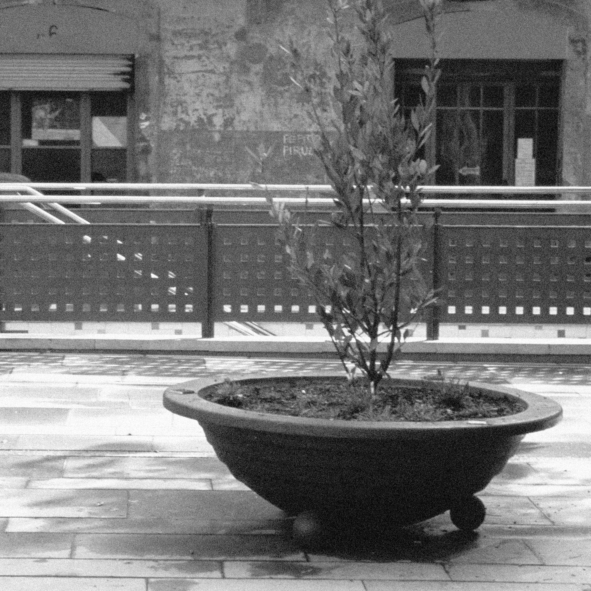 BARCINA URBAN PLANTER